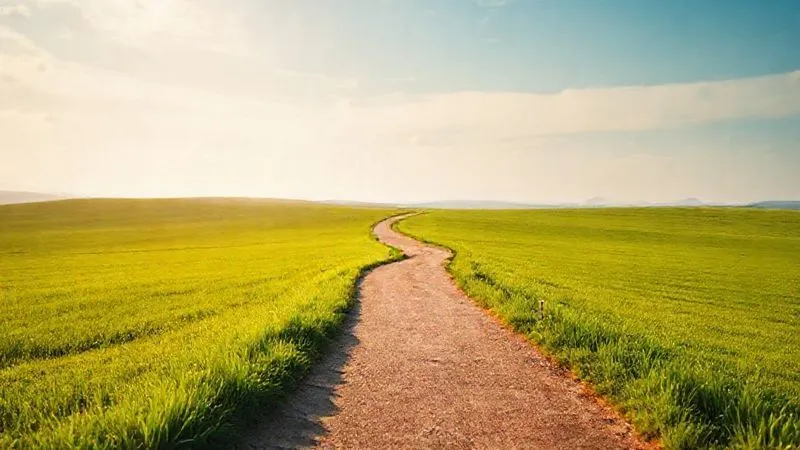 A photorealistic, professional photography, 8K, cinematic lighting, sharp focus, depth of field. Image of a winding, well-maintained path stretching into the distance through a thriving, green landscape, with a bright, hopeful sky above. The path symbolizes a journey of consistent progress and long-term commitment. There are small, strategically placed lights along the path, suggesting guidance and visibility.