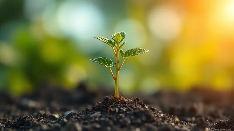 A photorealistic image of a vibrant, healthy plant growing strongly from a small seed, with roots firmly established and leaves reaching towards the sun, symbolizing sustainable business growth and long-term investment. Professional photography, 8K, cinematic lighting, sharp focus on the plant, depth of field blurring the background, shot on a high-end DSLR.